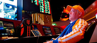 Как войти на сайт Casino Punch